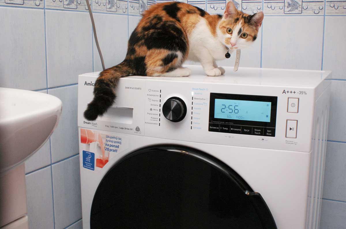 Pralka DreamWash DAW 8143 DSIBTO 8