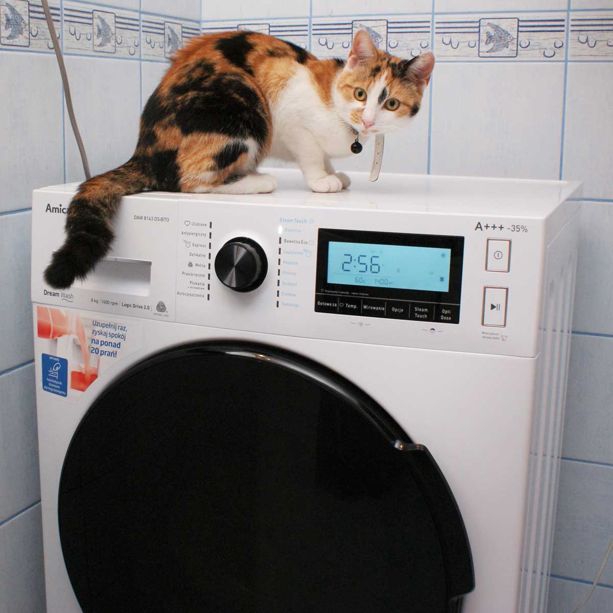 Pralka DreamWash DAW 8143 DSIBTO