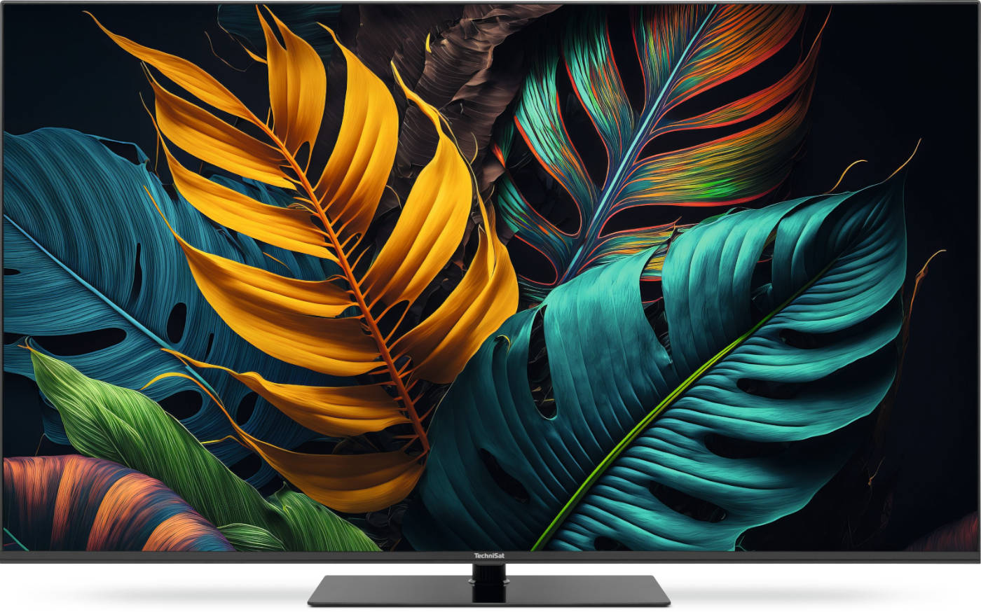 TECHNISAT Technivision UHD55A