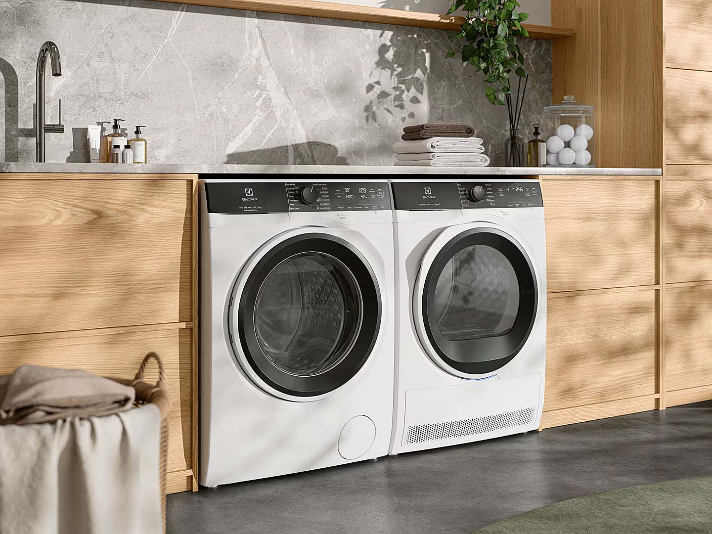 Wyzwania Electrolux na europejskim rynku-2