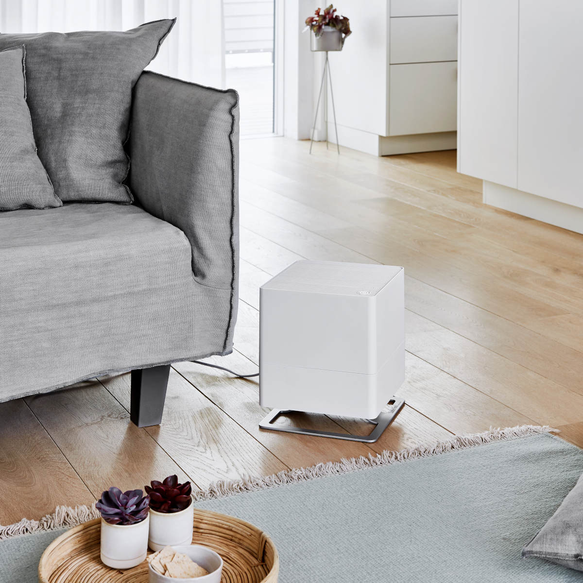 Kup filtr za 1 zł przy zakupie nawilżacza Oskar