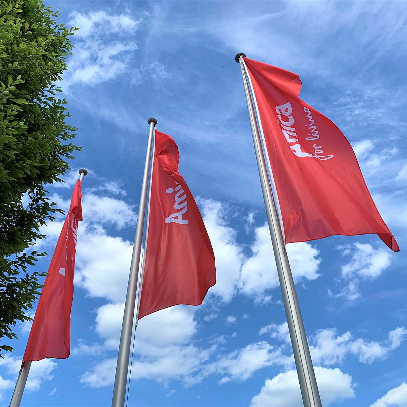 Amica szacuje wyniki za 2025 r. Zyski rosną mimo trudnego rynku