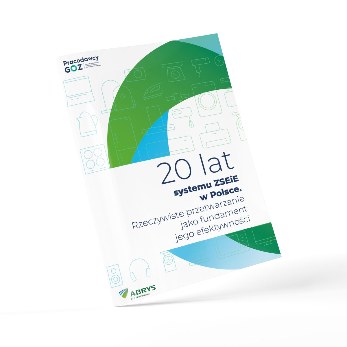 Raport na 20 lecie ZSEE – „system działa na papierze” – czas na zmianę logiki działania